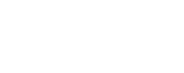 Flagship Bank Logo